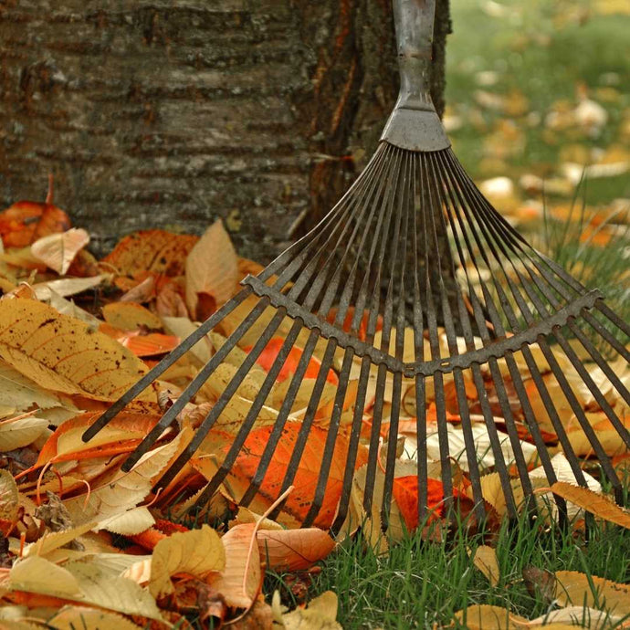 Dein Garten im Herbst – Zeit für Gemütlichkeit