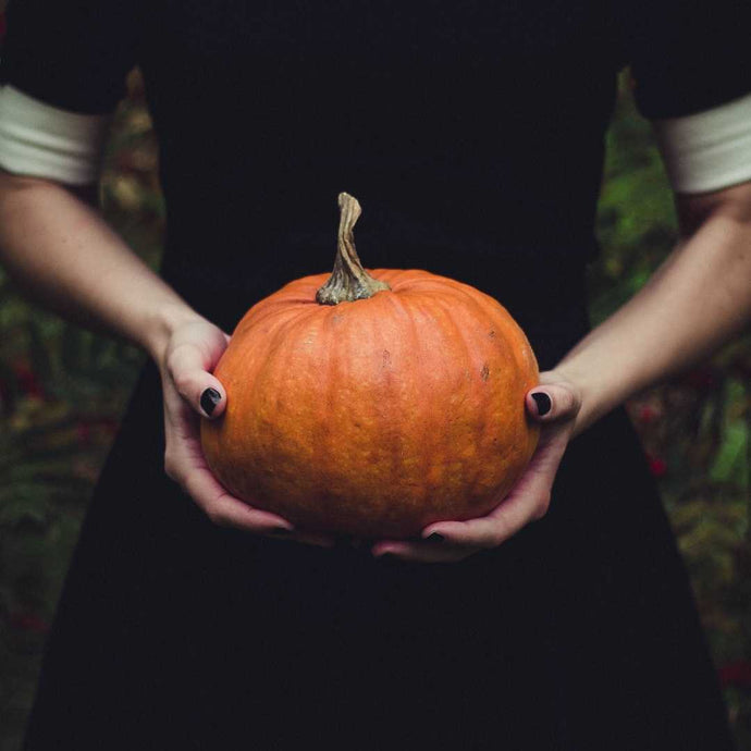 Halloween: So wird’s kein HORROR für die Natur