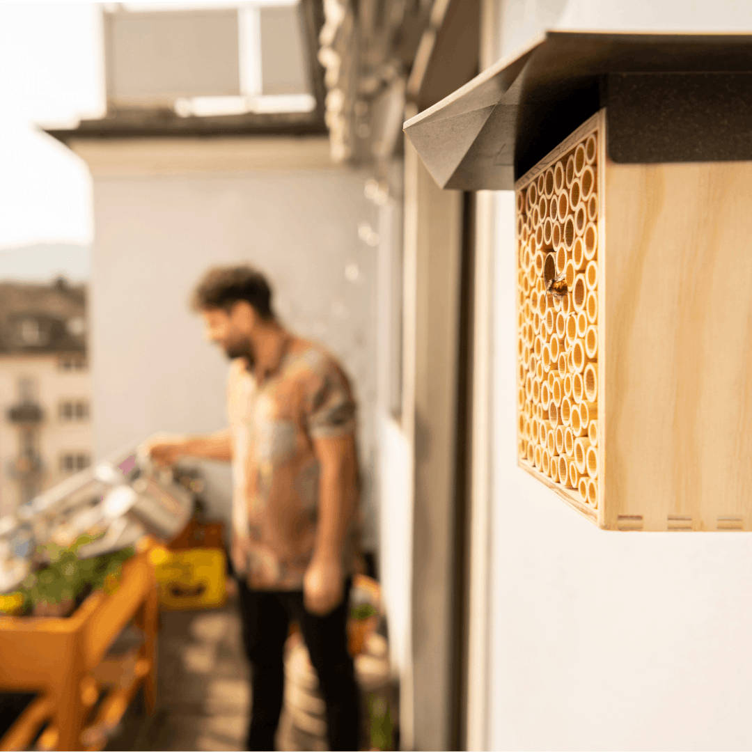 BeeHome Bienenhaus auf einem Balkon data-zoom=